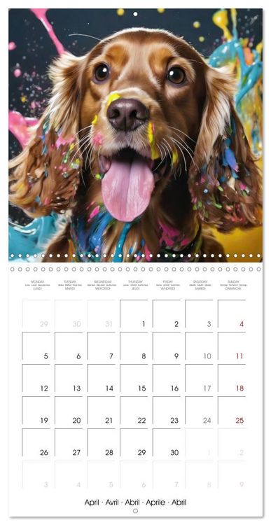 Produktbild: Colourful Splash Dogs (Wall Calendar 2027 12 &times; 12 Inch) CALVENDO 12 Month Wall Calendar