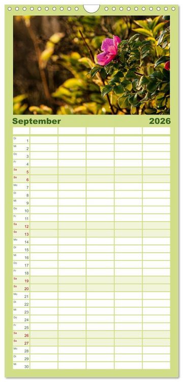 Produktbild: Familienplaner 2026 - Traumziel D&auml;nemark mit 5 Spalten (Wandkalender, 21 x 45 cm) CALVENDO