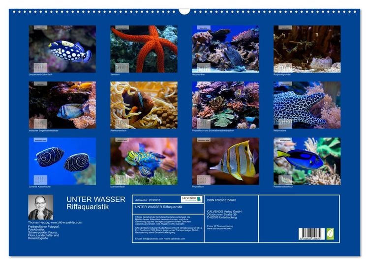 Produktbild: UNTER WASSER Riffaquaristik (Wandkalender 2026 DIN A2 quer), CALVENDO Monatskalender