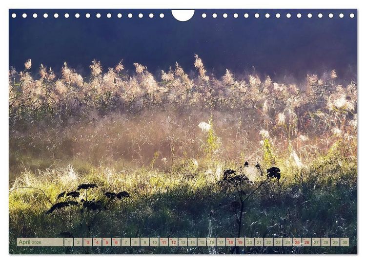 Produktbild: Morgengl&uuml;hen & Nebelschimmer (Wandkalender 2026 DIN A4 quer), CALVENDO Monatskalender