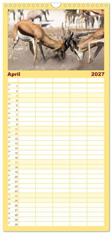 Produktbild: Familienplaner 2027 - Wildes Namibia mit 5 Spalten (Wandkalender, 21 x 45 cm) CALVENDO