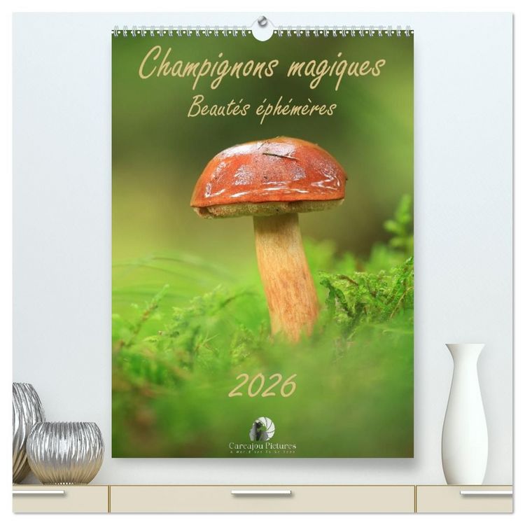 Produktbild: Champignons magiques - Beaut&eacute;s &eacute;ph&eacute;m&egrave;res (Calendrier mural haut de gamme 2027 DIN A2 horizontal), CALVENDO calendrier mensuel