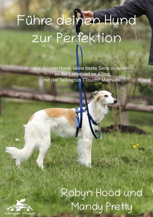 Produktbild: F&uuml;hre deinen Hund zur Perfektion