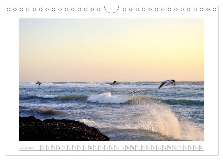 Produktbild: SALENTO das Meer - il Mare neu (Wandkalender 2026 DIN A4 quer), CALVENDO Monatskalender