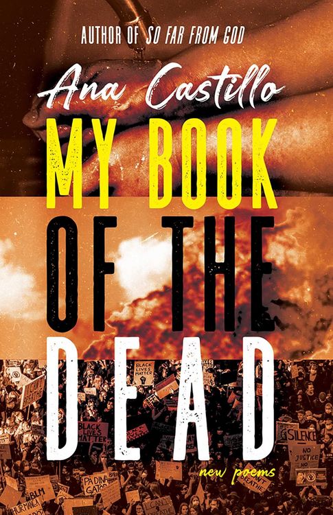 Produktbild: My Book of the Dead