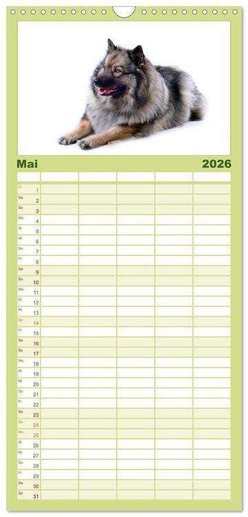 Produktbild: Familienplaner 2026 - Der Wolfsspitz mit 5 Spalten (Wandkalender, 21 x 45 cm) CALVENDO