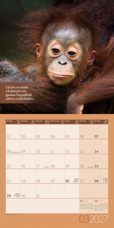 Produktbild: Keep Smiling Kalender 2027 - 30x30 - Art12