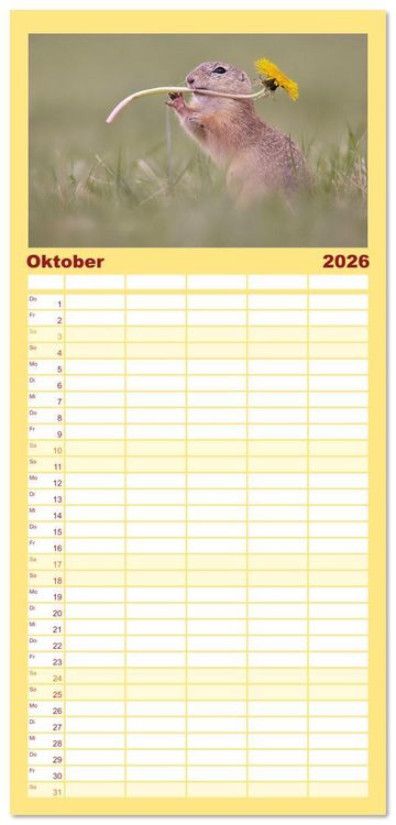 Produktbild: Familienplaner 2026 - Zauberhafte Ziesel mit 5 Spalten (Wandkalender, 21 x 45 cm) CALVENDO