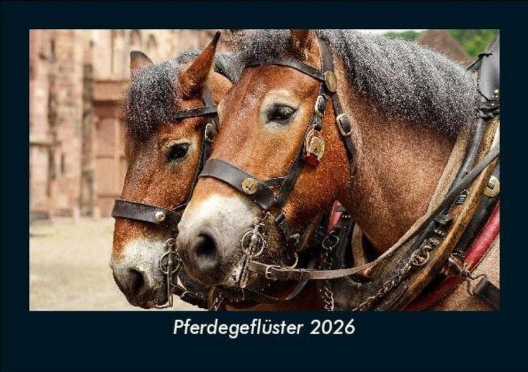 Produktbild: Pferdegefl&uuml;ster 2026 Fotokalender DIN A5