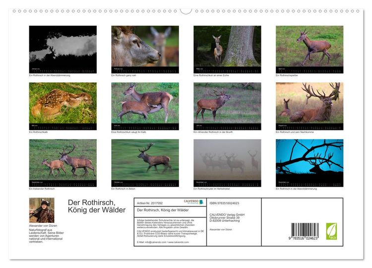 Produktbild: Der Rothirsch, K&ouml;nig der W&auml;lder (hochwertiger Premium Wandkalender 2026 DIN A2 quer), Kunstdruck in Hochglanz