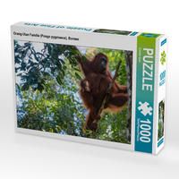 Produktbild: CALVENDO Puzzle Orang-Utan Familie (Pongo pygmaeus), Borneo | 1000 Teile Lege-Gr&ouml;&szlig;e 64x48cm Foto-Puzzle f&uuml;r gl&uuml;ckliche Stunden