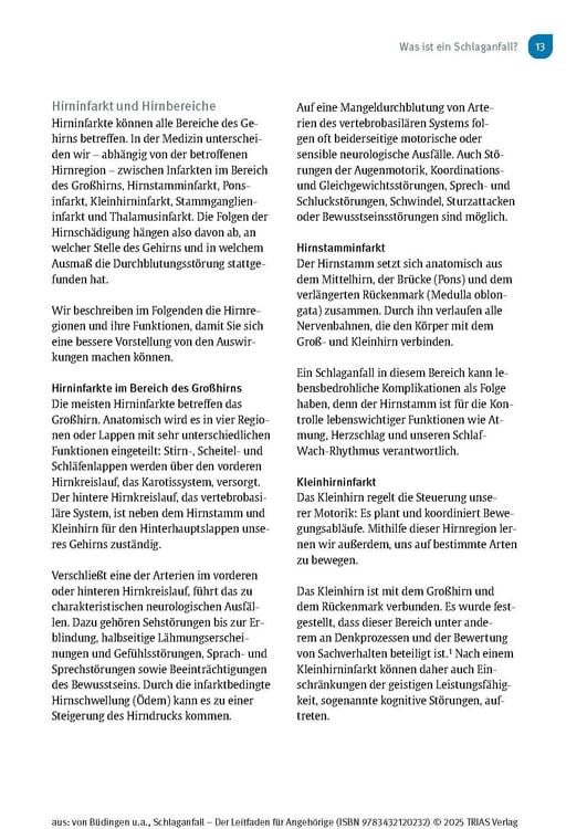 Produktbild: Schlaganfall - Der Leitfaden f&uuml;r Angeh&ouml;rige