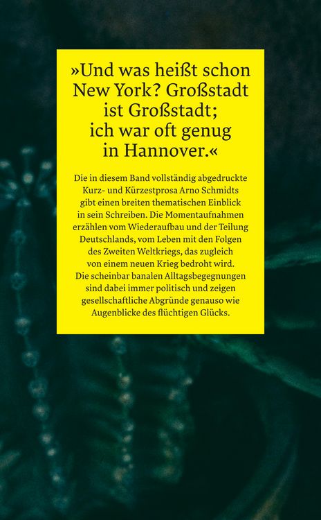 pinker gummibaum Gummibaum im Topf main image 1