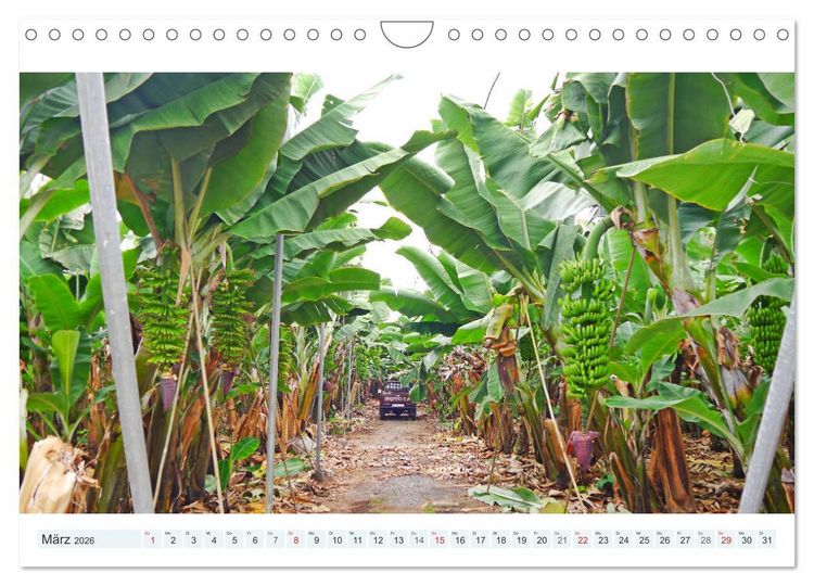 Produktbild: La Palma. Wandern, Flanieren und Genie&szlig;en (Wandkalender 2026 DIN A4 quer), CALVENDO Monatskalender