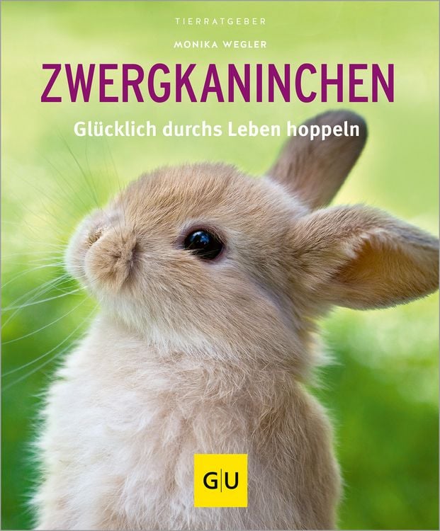 Produktbild: Zwergkaninchen