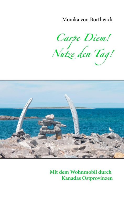 Produktbild: Carpe Diem! Nutze den Tag!