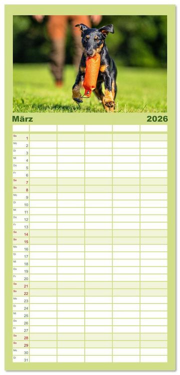 Produktbild: Familienplaner 2026 - Deutscher Terrier - ein leidenschaftlicher J&auml;ger mit 5 Spalten (Wandkalender, 21 x 45 cm) CALVENDO
