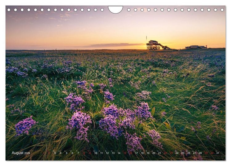 Produktbild: Nordseeurlaub in St. Peter-Ording (Wandkalender 2026 DIN A4 quer), CALVENDO Monatskalender