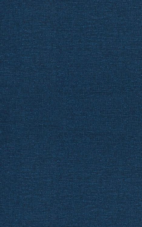 Produktbild: The Monster in the Closet