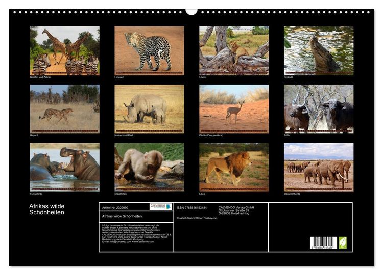 Produktbild: Afrikas wilde Sch&ouml;nheiten (Wandkalender 2026 DIN A2 quer), CALVENDO Monatskalender