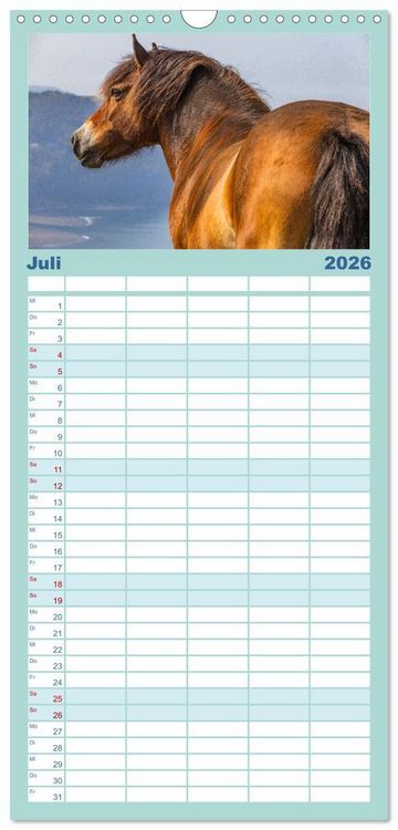 Produktbild: Familienplaner 2026 - Exmoor National Park mit 5 Spalten (Wandkalender, 21 x 45 cm) CALVENDO