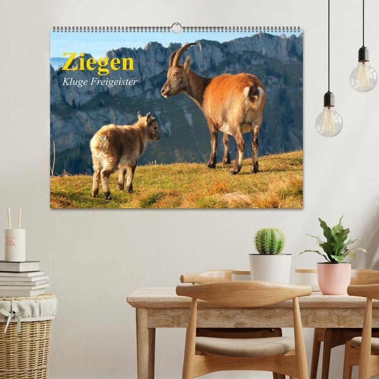 Produktbild: Ziegen. Kluge Freigeister (Wandkalender 2026 DIN A2 quer), CALVENDO Monatskalender