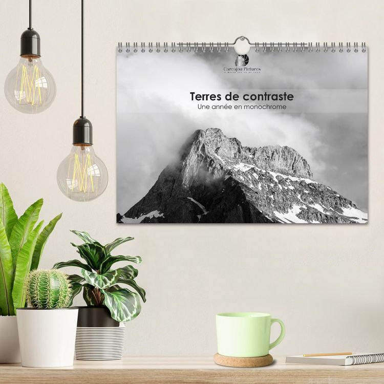 Produktbild: Terres de contraste &ndash; Une ann&eacute;e en monochrome (Calendrier mural 2026 DIN A4 vertical), CALVENDO calendrier mensuel