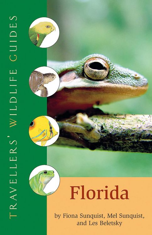 Produktbild: Florida (Traveller's Wildlife Guides)
