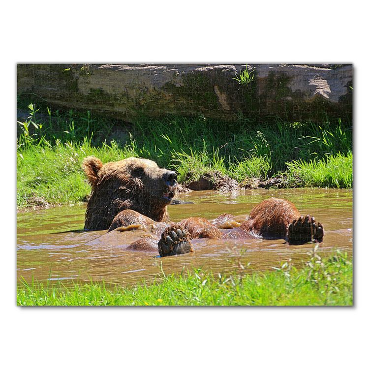 Produktbild: Lais Puzzle Braunb&auml;r 1000 Teile