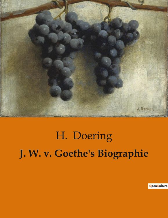 Produktbild: J. W. v. Goethe's Biographie