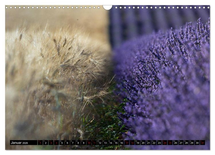 Produktbild: Provence im Rausch der Farben (Wandkalender 2026 DIN A3 quer), CALVENDO Monatskalender