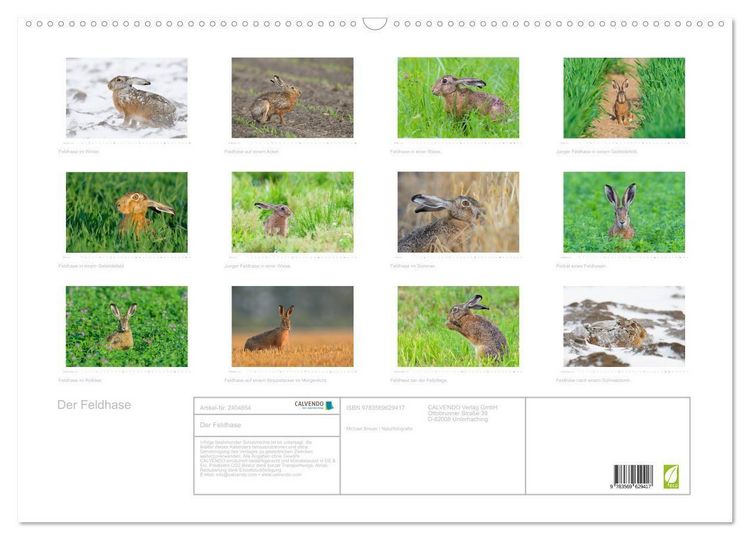 Produktbild: Der Feldhase (Wandkalender 2027 DIN A2 quer), CALVENDO Monatskalender