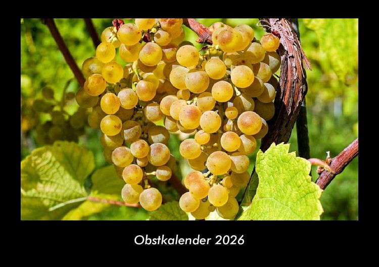 Produktbild: Obstkalender 2026 Fotokalender DIN A3