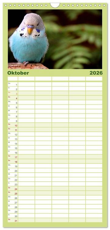 Produktbild: Familienplaner 2026 - Wellensittiche - Naturkalender mit 5 Spalten (Wandkalender, 21 x 45 cm) CALVENDO