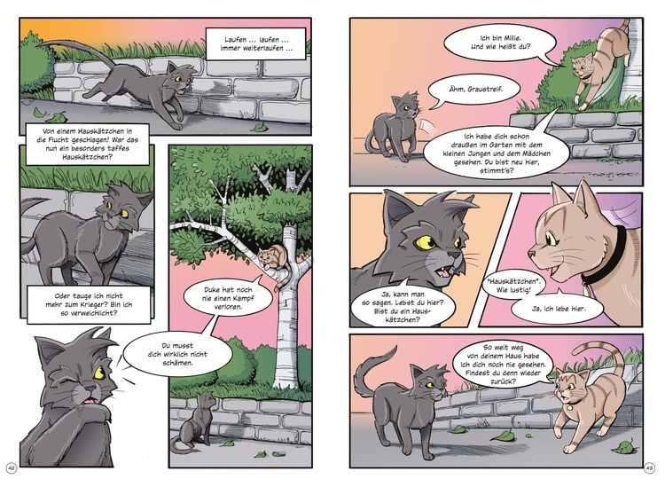 Warrior Cats - Graustreifs Weg zurück