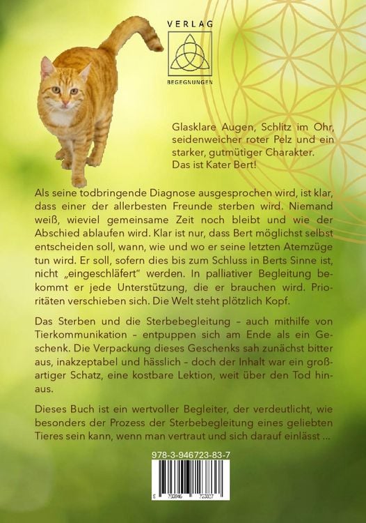 Produktbild: Sieben Wochen Abschied von Bert