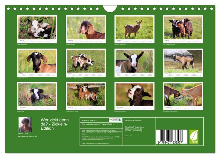 Produktbild: Wer zickt denn da? - Zicklein-Edition (Wandkalender 2026 DIN A4 quer), CALVENDO Monatskalender