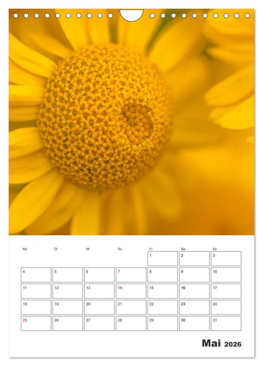 Produktbild: Farbiger Bl&uuml;tentraum (Wandkalender 2026 DIN A4 hoch), CALVENDO Monatskalender