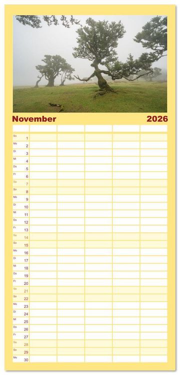 Produktbild: Familienplaner 2026 - Wundersch&ouml;nes Madeira mit 5 Spalten (Wandkalender, 21 x 45 cm) CALVENDO