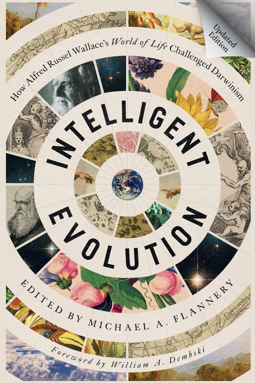 Produktbild: Intelligent Evolution