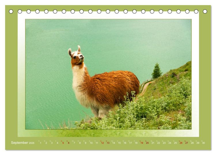 Produktbild: Das vergessene Tal. Schnalstal - Val Senales (Tischkalender 2026 DIN A5 quer), CALVENDO Monatskalender
