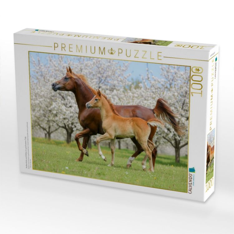 Produktbild: CALVENDO Puzzle Araberstute und Fohlen in synchronem Trab | 1000 Teile Lege-Gr&ouml;&szlig;e 64x48cm Foto-Puzzle f&uuml;r gl&uuml;ckliche Stunden