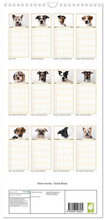 Produktbild: Familienplaner 2026 - Kleine Hunde - Gro&szlig;e Blicke mit 5 Spalten (Wandkalender, 21 x 45 cm) CALVENDO