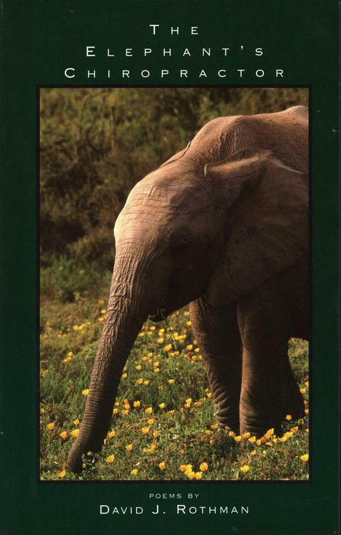 Produktbild: The Elephant's Chiropractor