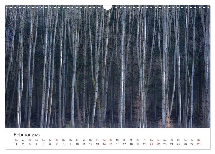 Produktbild: B&auml;ume - Gelebtes Leben (Wandkalender 2026 DIN A3 quer), CALVENDO Monatskalender