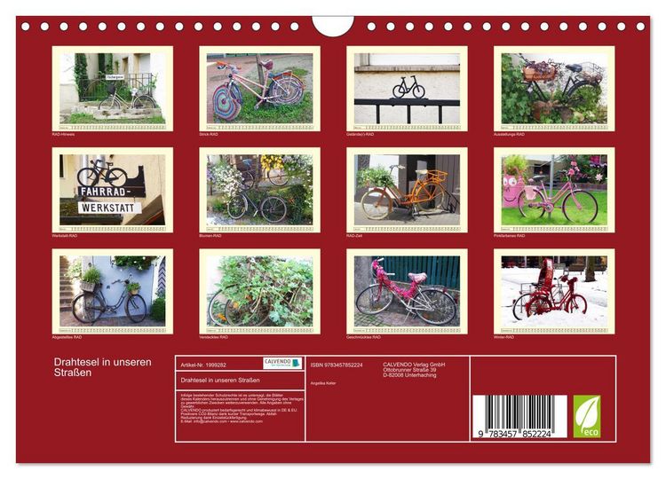 Produktbild: Drahtesel in unseren Stra&szlig;en (Wandkalender 2026 DIN A4 quer), CALVENDO Monatskalender