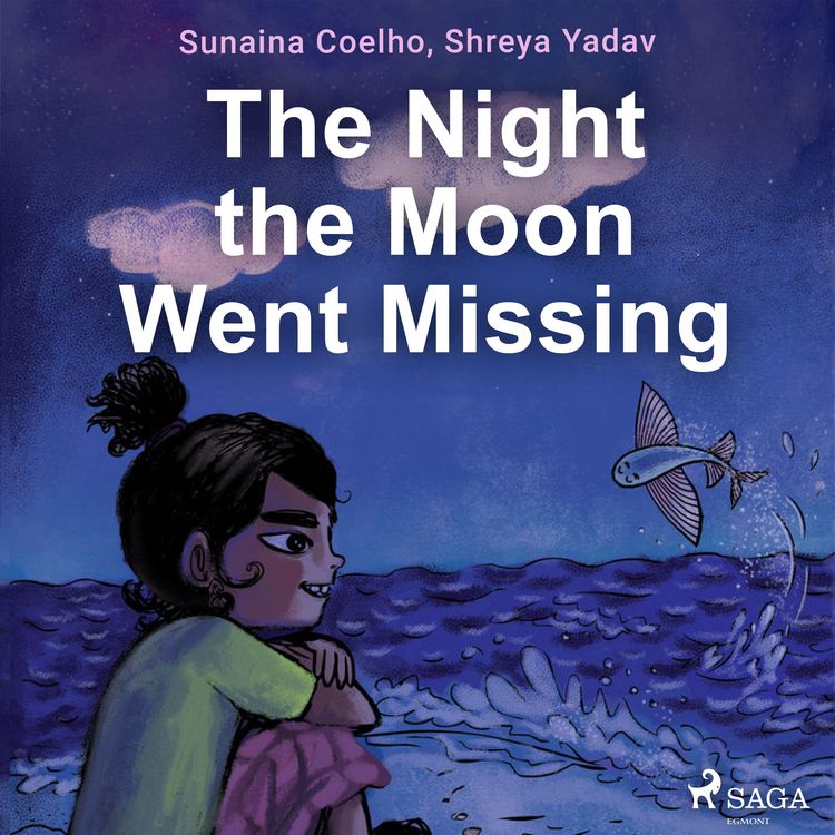 Produktbild: The Night the Moon Went Missing