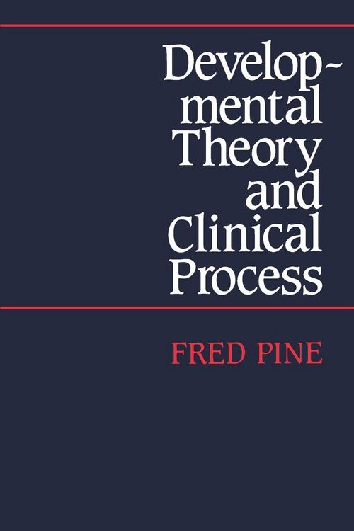 Produktbild: Developmental Theory and Clinical Process