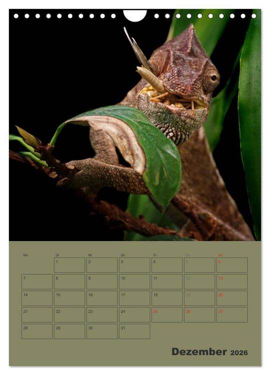 Produktbild: Minidrachen - Die kleinen Nachkommen der Urzeitmonster (Wandkalender 2026 DIN A4 hoch), CALVENDO Monatskalender