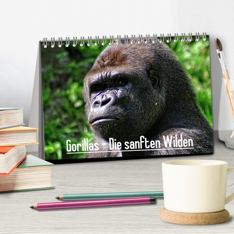Produktbild: Gorillas - Die sanften Wilden (Tischkalender 2026 DIN A5 quer), CALVENDO Monatskalender